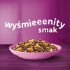 Karma dla kota WHISKAS Junior z kurczakiem 800 g Etap życia Junior