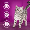 Karma dla kota WHISKAS Duo Zestawy Klasyczne (4 x 85 g) Etap życia Dorosły