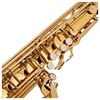 Saksofon tenorowy V-TONE TS 100 Wyposażenie Pasek
