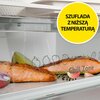 Lodówka HISENSE RM469N4AFD No Frost 200 cm Czarna SmartFresh Kolor / wykończenie frontu Czarny