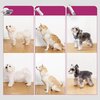 Odkurzacz PETKIT AirClipper 5w1 Gwarancja 24 miesiące