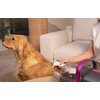 Odkurzacz PETKIT AirClipper 5w1 Waga [kg] 3.15