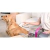 Odkurzacz PETKIT AirClipper 5w1 Funkcje dodatkowe 3 tryby pracy