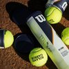 Piłki do tenisa ziemnego WILSON Roland Garros Clay Court  (4 sztuki) Sport Tenis ziemny