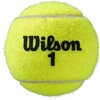 Piłki do tenisa ziemnego WILSON Roland Garros Clay Court  (4 sztuki) Materiał wykonania Filc