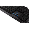 Klawiatura ENDORFY Thock Kailh Blue Typ klawiatury Mechaniczna