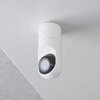 Kamera UBIQUITI G5 Flex Zewnętrzna / Wewnętrzna, LAN Rodzaj kamery Wewnętrzna