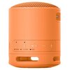 Głośnik mobilny SONY SRS-XB100 Pomarańczowy Złącza USB-C