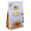 Karma dla kota BRIT CARE Cat Grain Free Haircare Kurczak z łososiem 400 g Typ Sucha