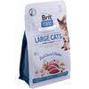 Karma dla kota BRIT Care Large Cats Power & Vitality Świeża Kaczka i Kurczak 400 g Waga 400 g