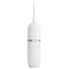 Irygator TESLA Flosser FS200 Biały Liczba stopni regulacji ciśnienia wody 3