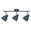 Lampa sufitowa GOLDLUX Niko-3 311832 Czarny