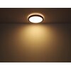 Plafon sufitowy GLOBO Bruno 41764-12 Czarno-brązowy Maksymalna moc żarówki [W] 12
