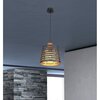 Lampa sufitowa GLOBO Ablona 15451H Czarny Rodzaj Lampa sufitowa
