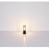 Lampa sufitowa GLOBO Annika 21000-3HB Czarny Pomieszczenie Do salonu
