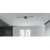 Lampa sufitowa GLOBO Tansy I 67129-18 Czarny Rodzaj Lampa sufitowa