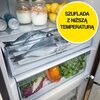 Lodówka HISENSE RB440N4WFF No Frost 200.4cm Podajnik wody Czarna Liczba drzwi 2
