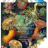 Puzzle CENEGA Imagination Ernst Haeckel Stworzenia morskie (1000 elementów) Tematyka Roślinność