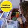 Lodówka BEKO BCNA275E5ZSN Zmiana kierunku otwierania drzwi Tak
