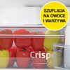 Lodówka BEKO RCSA240K40WN 152.8cm Biała Liczba drzwi 2