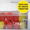 Lodówka BEKO RCSA240K40SN 152.8cm Srebrna Kolor producenta Srebrny