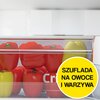 Lodówka BEKO RDSA240K40SN 146.5cm Srebrna Roczne zużycie prądu 183 kWh = 210.45 zł