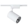 Reflektor szynowy DPM STR-5W-W Biały Źródło światła w komplecie Tak