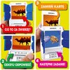 Gra edukacyjna REBEL 100 Pics Zwierzęta Rodzaj Gra edukacyjna