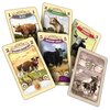 Gra planszowa REBEL Great Western Trail Argentyna Czas gry [min] 70 – 150