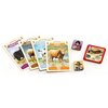 Gra planszowa REBEL Great Western Trail Argentyna Wiek 12+