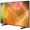 Telewizor SAMSUNG HG55AU800EU 55" LED HOTEL TV 4K Tizen TV Dla graczy Nie