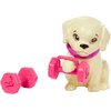 Lalka Barbie Relaks i fitness HKT91 Rodzaj Lalka Barbie