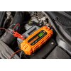 Prostownik NEO TOOLS 11-893-1 Rodzaj Prostownik