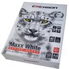 Papier do drukarki EUROPAPIER Maxx White 500 arkuszy Gramatura [g/m2] 75