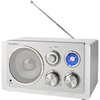 Radio NEDIS RDFM5110WT Biało-srebrny Zakresy fal radiowych FM