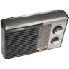 Radio TIROSS TS-458 Czarno-srebrny Zakresy fal radiowych AM