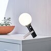 Lampa stołowa LEXON Bolla+ LH63N Czarny Źródło światła w komplecie Tak