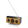 Głośnik mobilny SVEN HA-930 Radio FM Brązowy Złącza AUX
