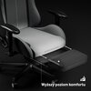 Fotel DIABLO CHAIRS X-ST4RTER Szary Załączona dokumentacja Karta gwarancyjna