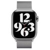 Bransoleta do Apple Watch (38/40/41mm) Srebrny Rodzaj Bransoleta