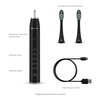 Szczoteczka soniczna TRUELIFE SonicBrush Clean30 Czarny Tryb pracy Masaż