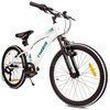 Rower dziecięcy SUN BABY Tiger Bike 20 cali dla chłopca Biało-zielony