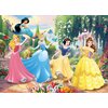 Puzzle LISCIANI Disney Princess 304-74174 (108 elementów) Rodzaj Tradycyjne