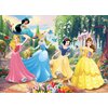 Puzzle LISCIANI Disney Princess 304-74044 (60 elementów) Seria Disney Princess