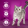 Karma dla kota WHISKAS Drobiowa Uczta Mix Smaków (24 x 85 g) Opakowanie Saszetka