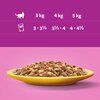 Karma dla kota WHISKAS Drobiowa Uczta Mix Smaków (24 x 85 g) Typ Mokra
