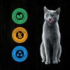 Karma dla kota SHEBA Nature's Collection Indyk z sercami drobiowymi 400 g Smak Indyk z sercami drobiowymi