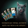 Karma dla kota SHEBA Nature's Collection Rybne Smaki (4 x 85 g) Smak Tuńczyk