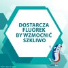 Pasta do zębów AQUAFRESH Big Teeth Psi Patrol 50 ml Dodatkowe działanie Ochrona szkliwa
