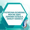 Pasta do zębów AQUAFRESH Big Teeth Psi Patrol 50 ml Dodatkowe działanie Wzmacnia dziąsła i zęby